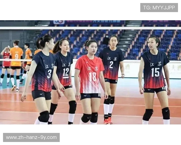 杭州排球队灵活性深度解析与其他球队的对比研究